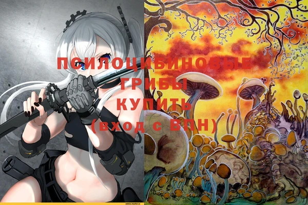 стаф Армянск