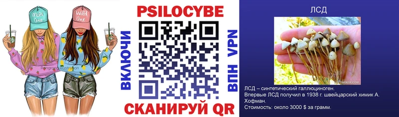 Псилоцибиновые грибы GOLDEN TEACHER магазин продажи наркотиков Омск